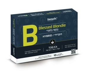 Blessed Blondie_box_demoFinal2 copy