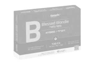 בלסד בלונדי (אזל מהמלאי)