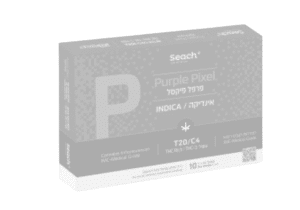 פרפל פיקסל (אזל מהמלאי)