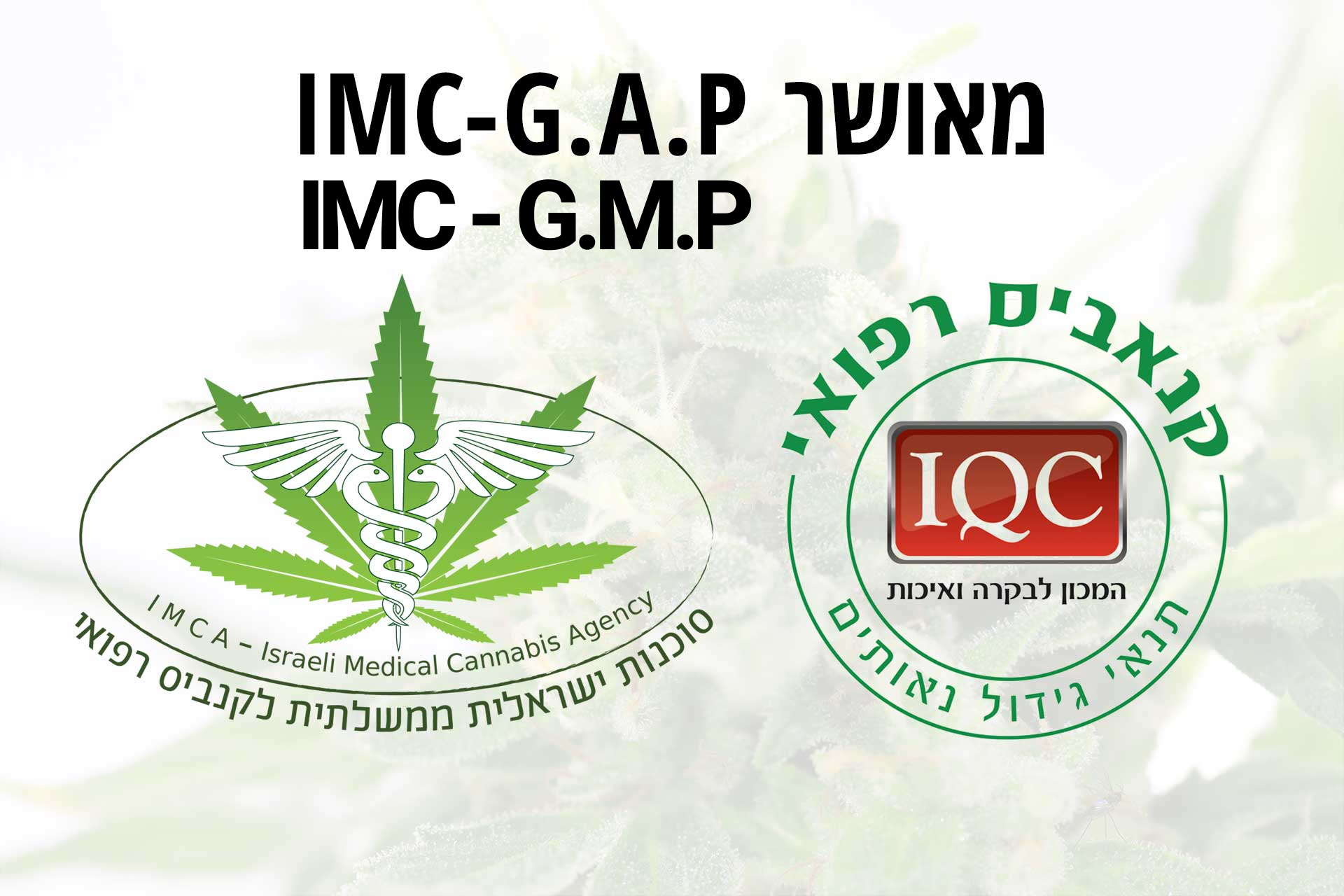 תקן מאושר IMC-G.A.P IMC-G.M.P