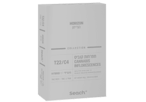 הורייזון אזל מהמלאי