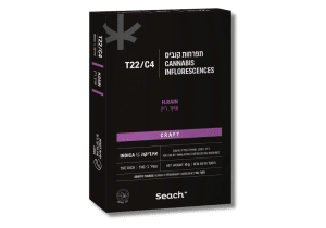 הוויאן ריין (