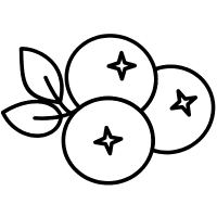 טעמים של פירות יער