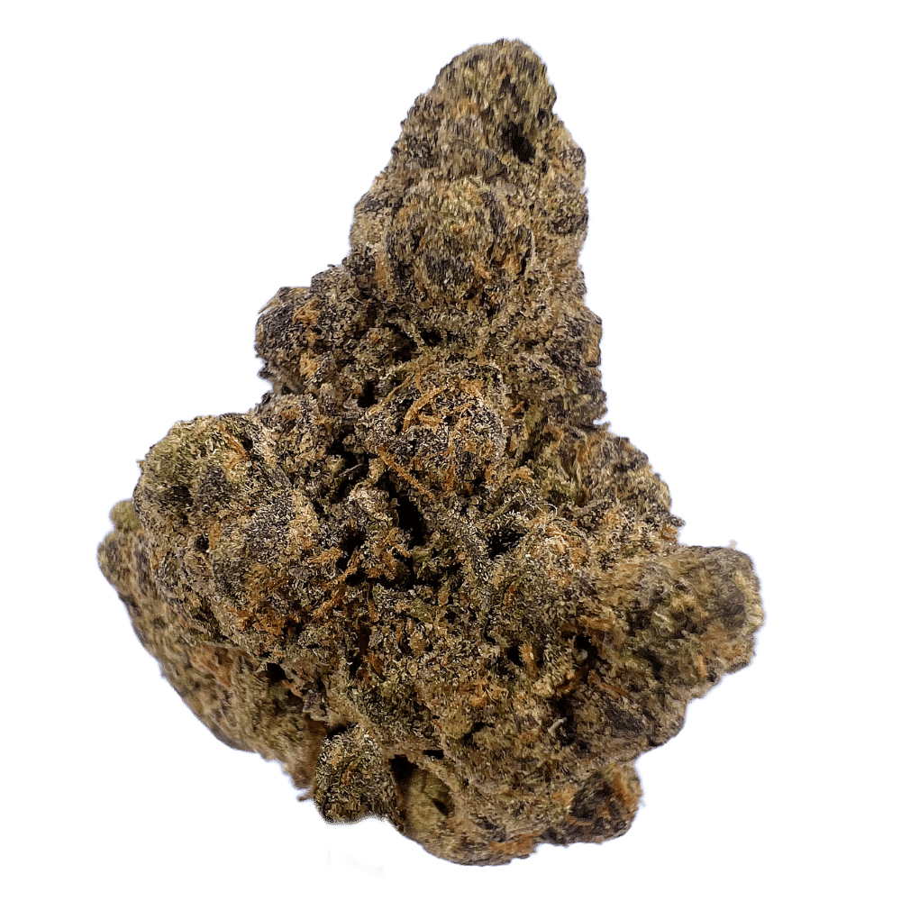 תפרחת פרפל דידי