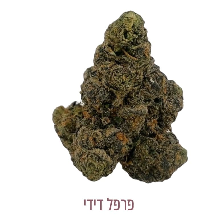 פרפל דידי תפרחוץ