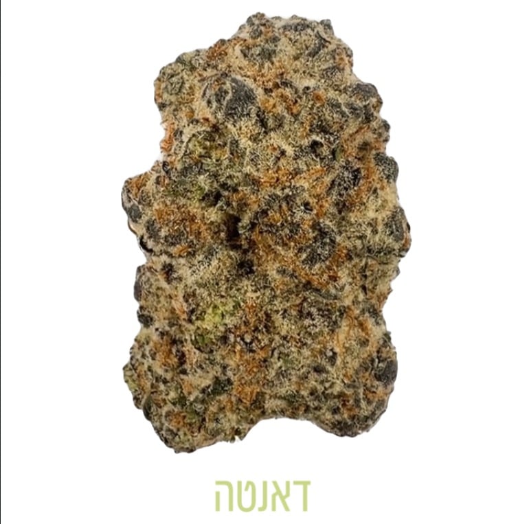 דאנטה - תפרחות