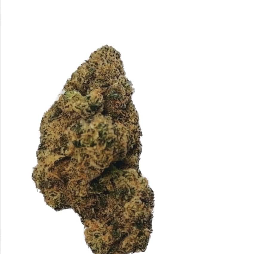 תפרחת לאתר FCG