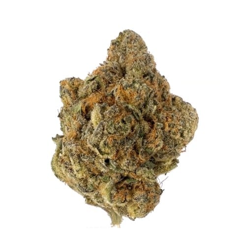 דון בי לאתר