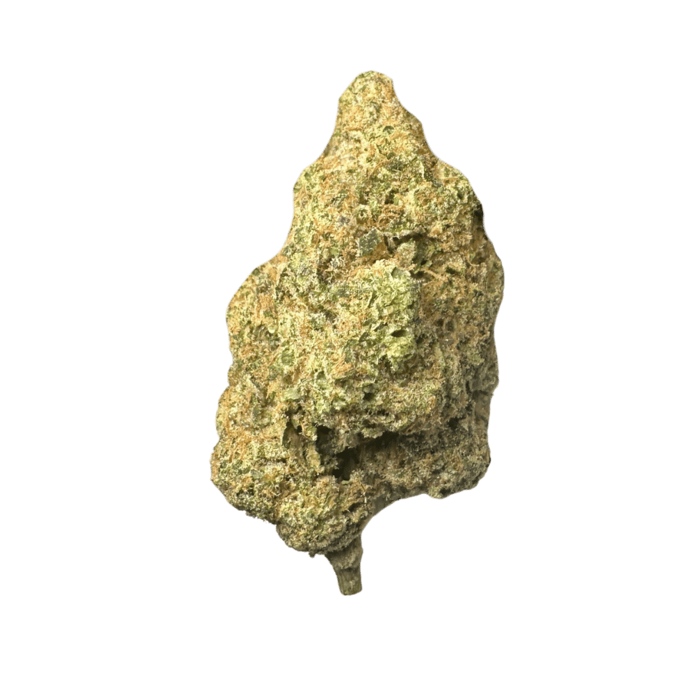 תפרחת לאתר FCG