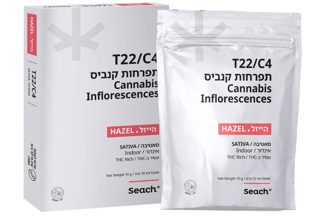 הייזל