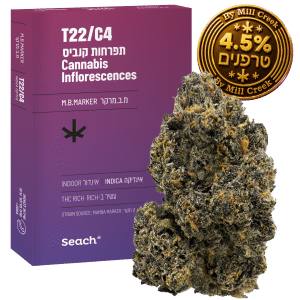 מ