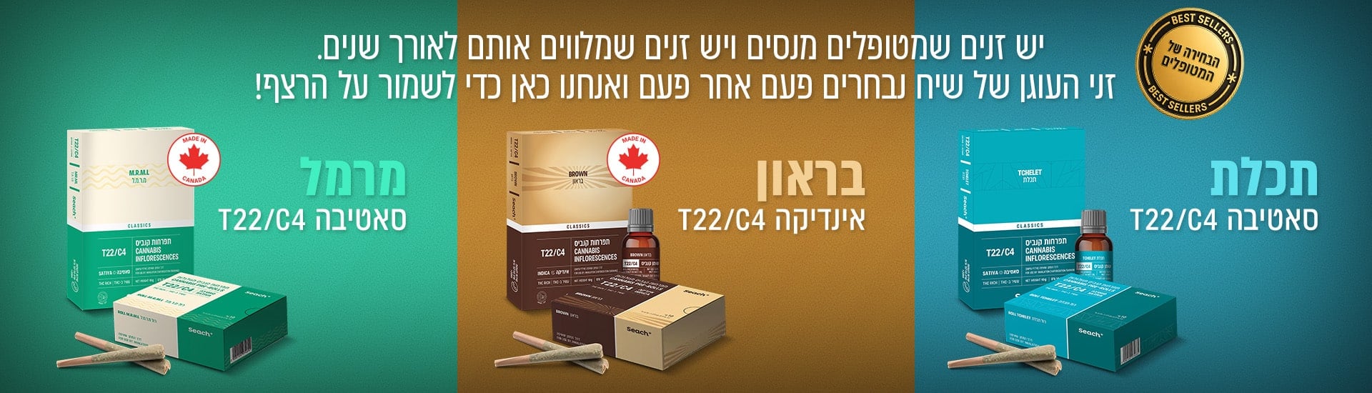 באנר אתר