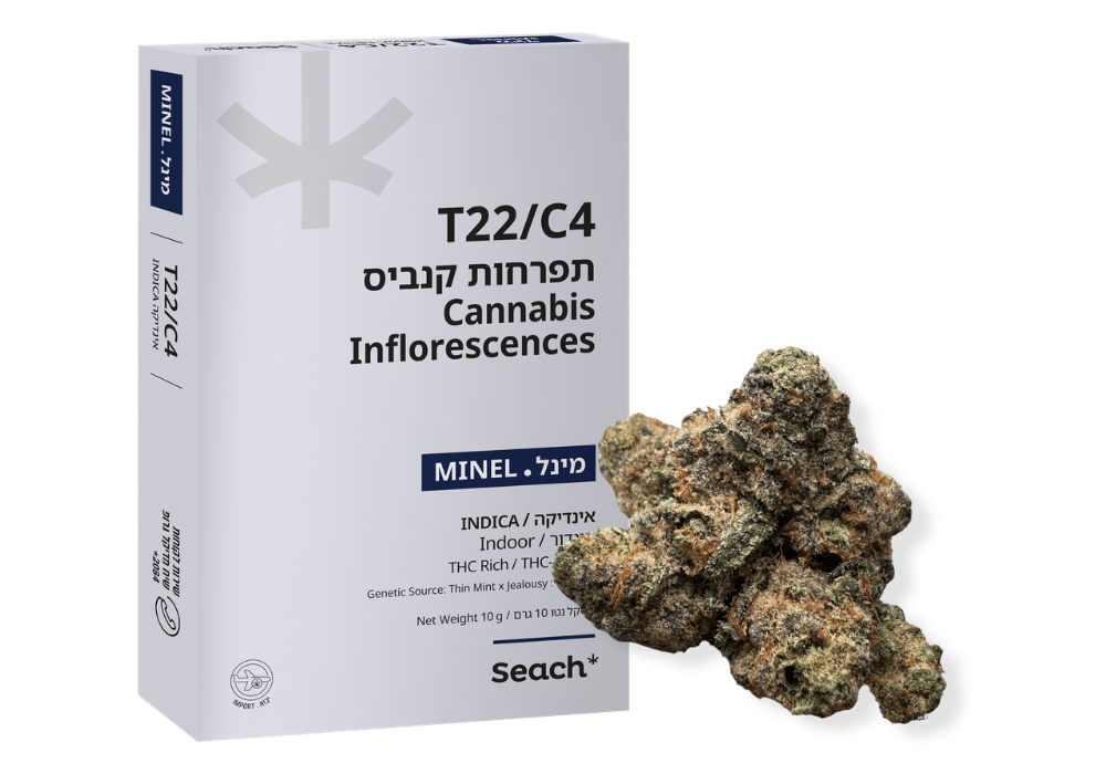 מינל