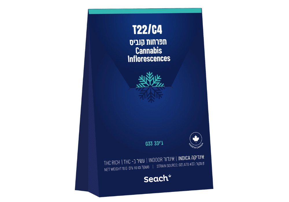 ג'י33